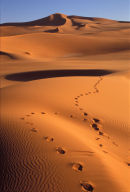 Footsteps in the dunes 2, Wan Casa dunes
